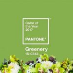 Pantone Color Year 2017 Greenery1