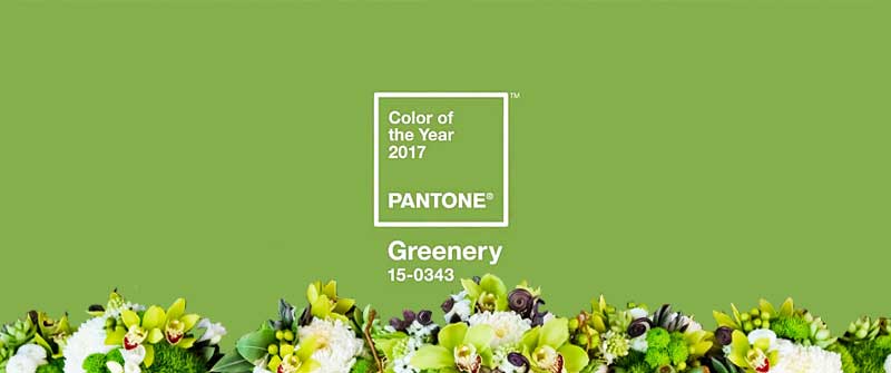 Color Of The Year-Greenery