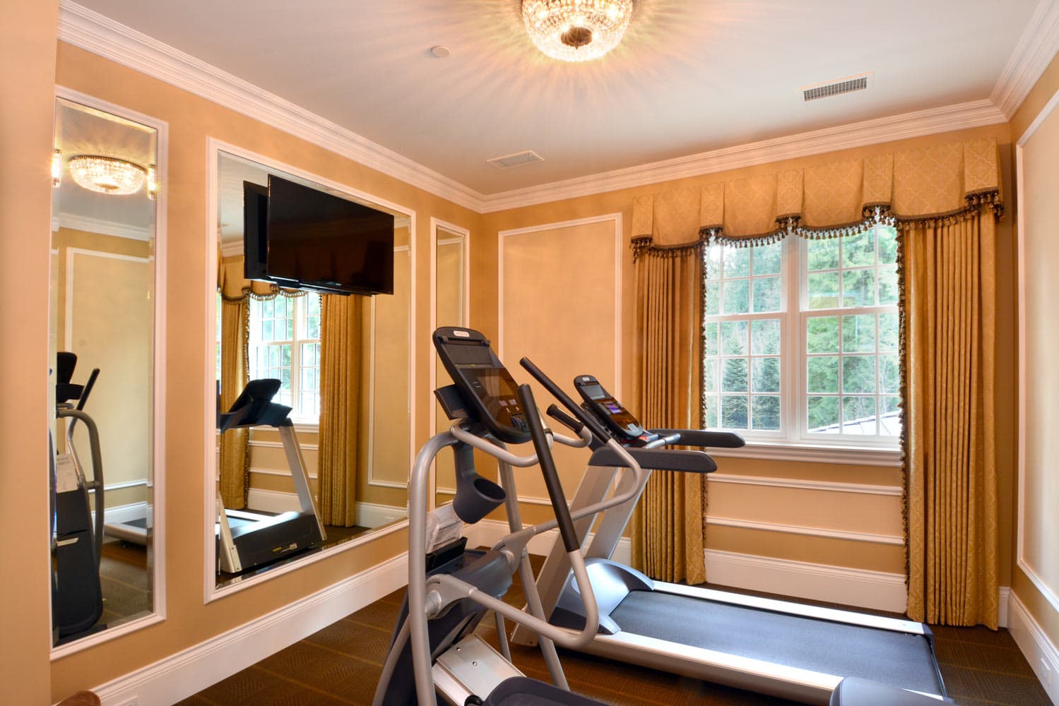 Grand Ridge Issaquah Home Gym Design