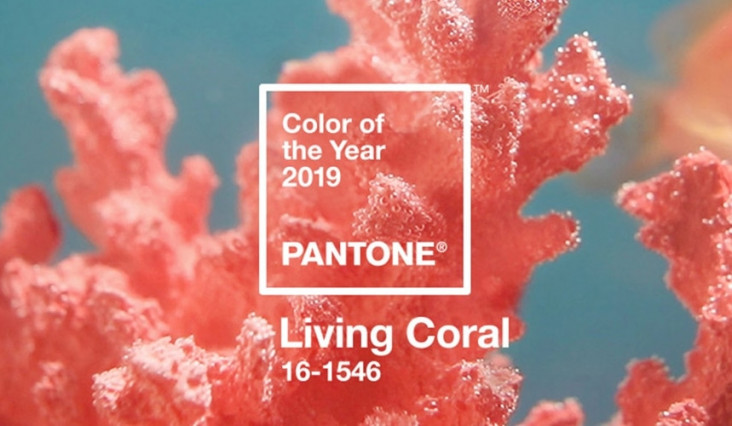 Bright Beginnings – The Pantone Color of the Year!
