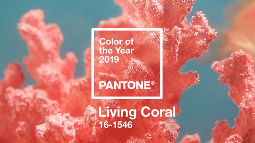 Bright Beginnings – The Pantone Color of the Year!