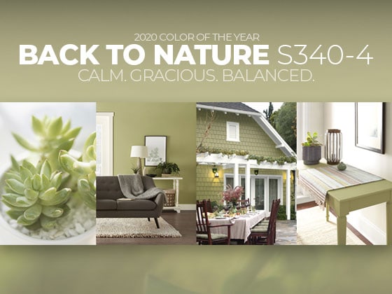 Color Crush: Back to Nature