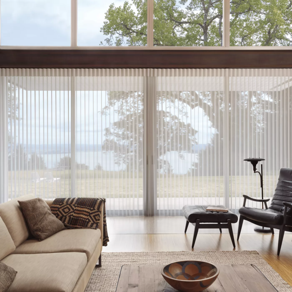 Bioliphic Home Renovation - Hunter Douglas Blinds